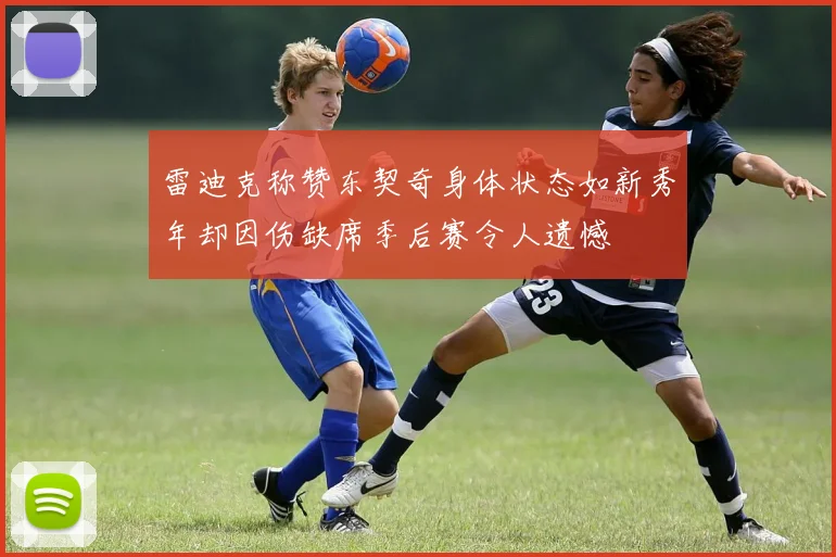 雷迪克称赞东契奇身体状态如新秀年却因伤缺席季后赛令人遗憾